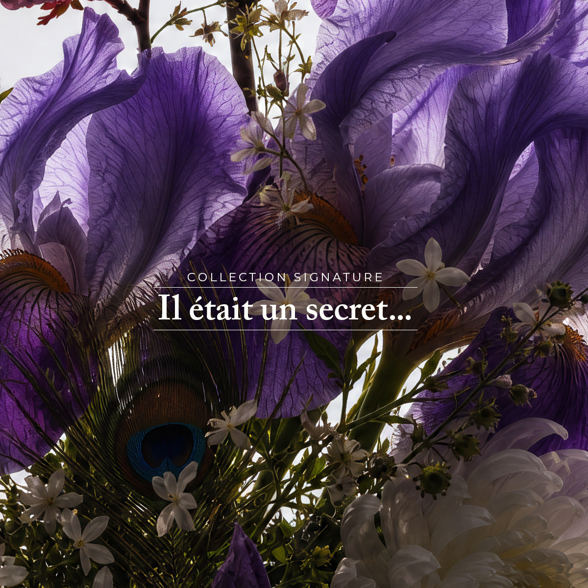 Coffret - Il était un secret - Eau de parfum & Huile satinante