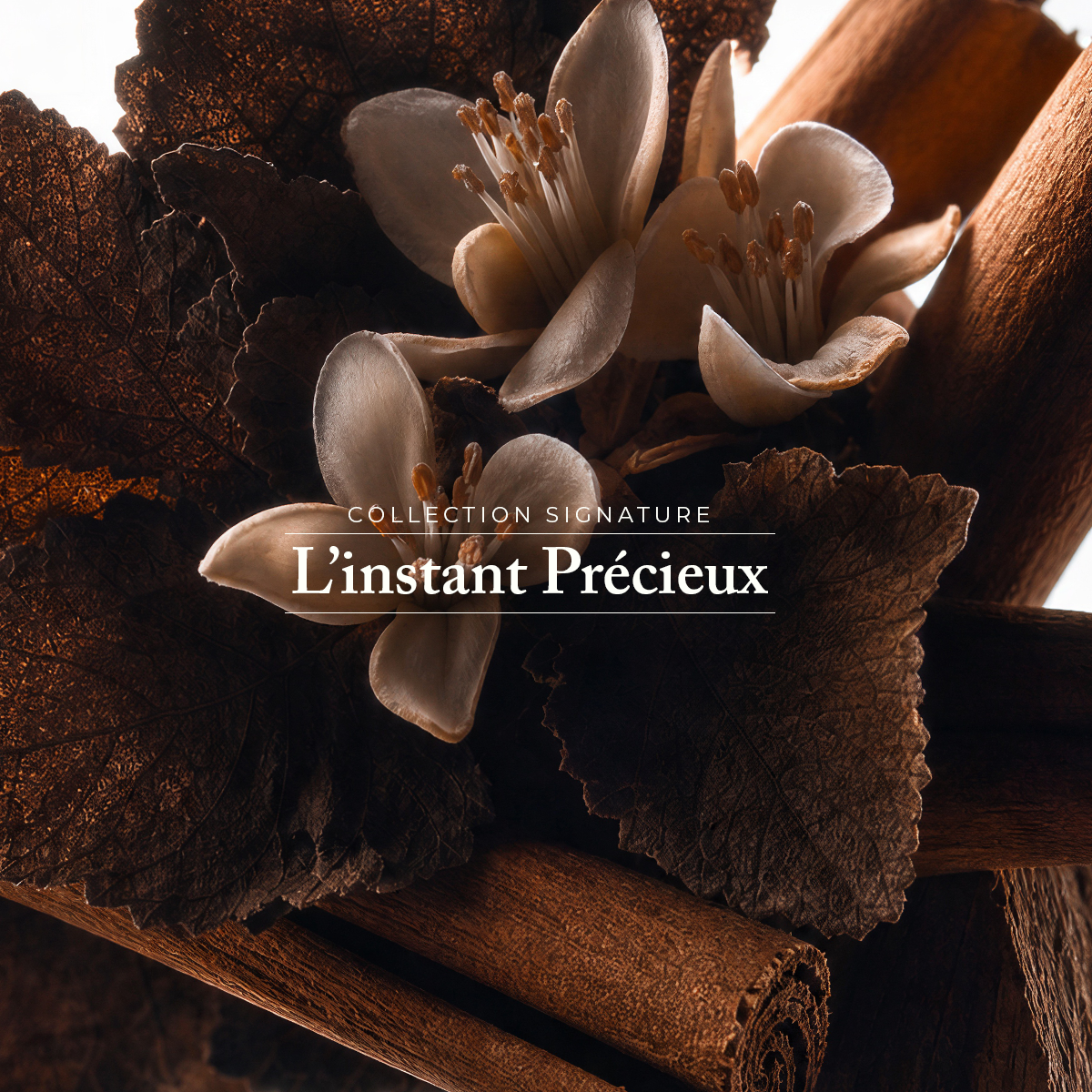 Bougie d'Ambiance - L'Instant Précieux 250 g