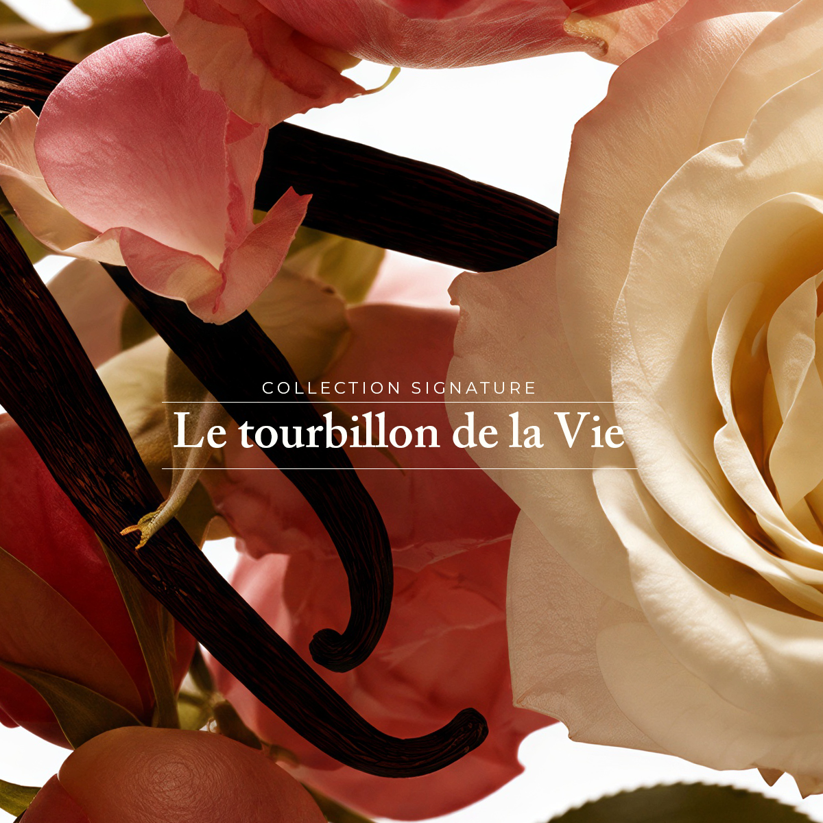 Le sucre de lissage - Le Tourbillon de La Vie - 250 g
