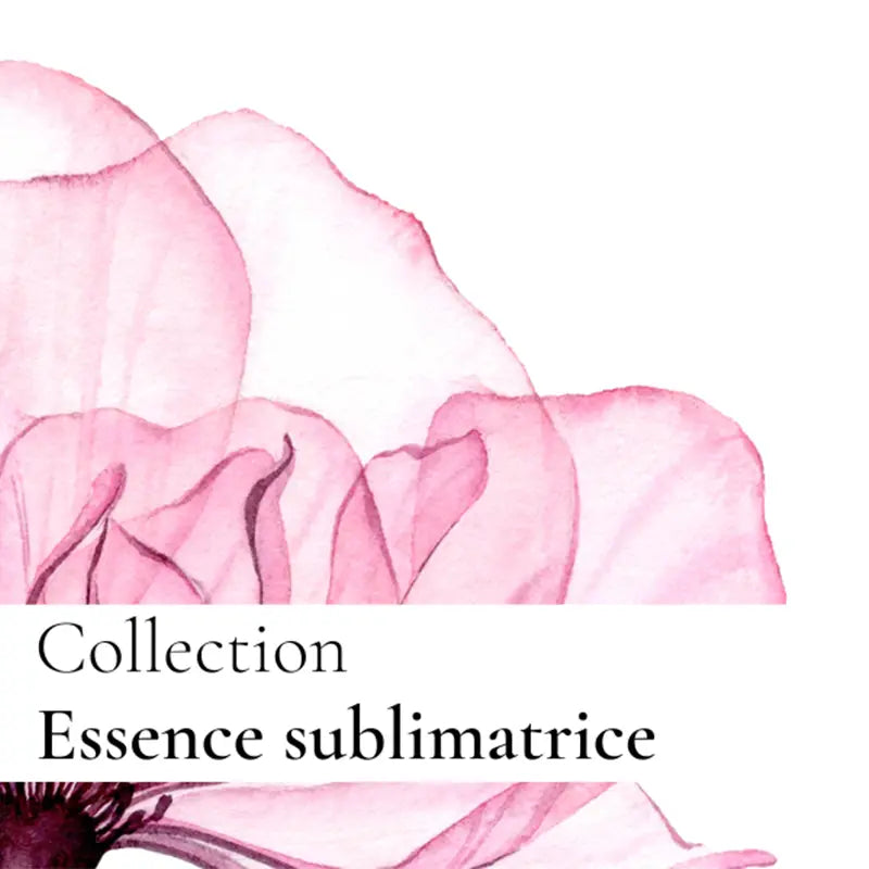 La Crème Sublimatrice au Collagène – Formule Initiale