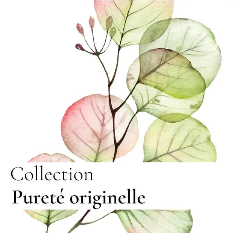 La Crème Originelle - Emulsion légère matifiante