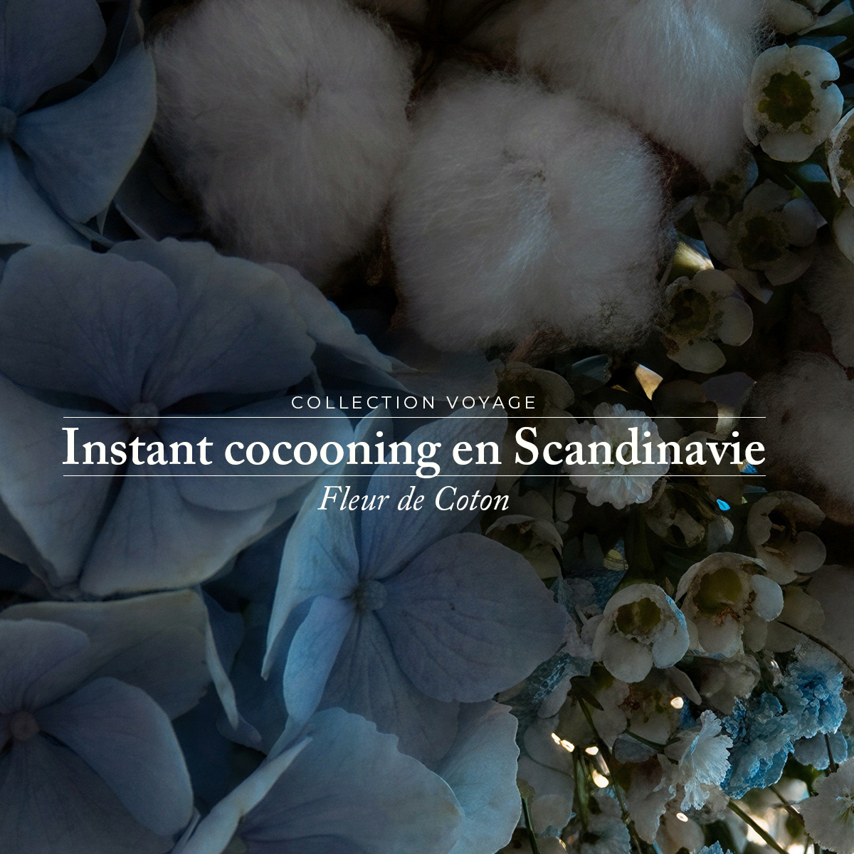 Perfume mist - Cotton flower - Instant cocooning in Scandinavia