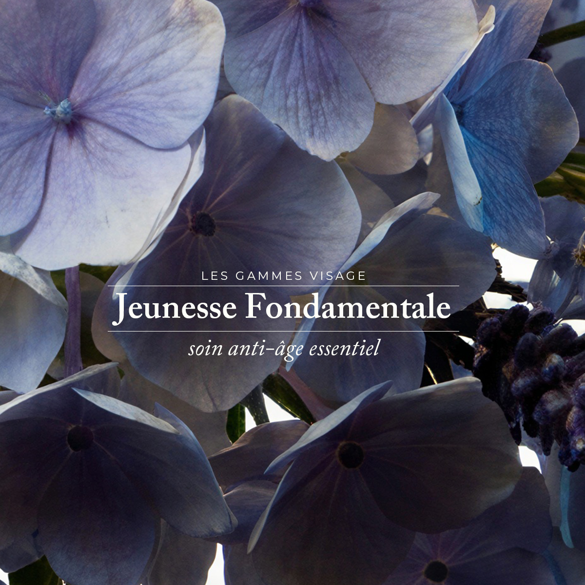 Jeunesse Absolue - Sérum Anti-Âge Haute Exigence 30 ml