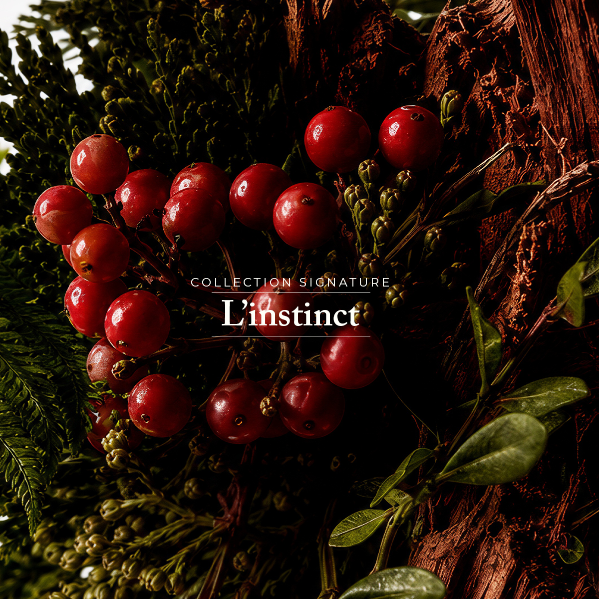 Coffret - L'Instinct - Eau de parfum & Crème visage