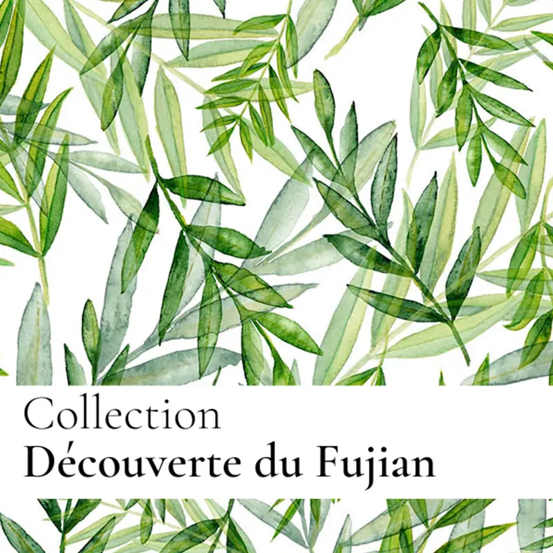 Brume de parfum - Thé vert - Découverte du Fujian