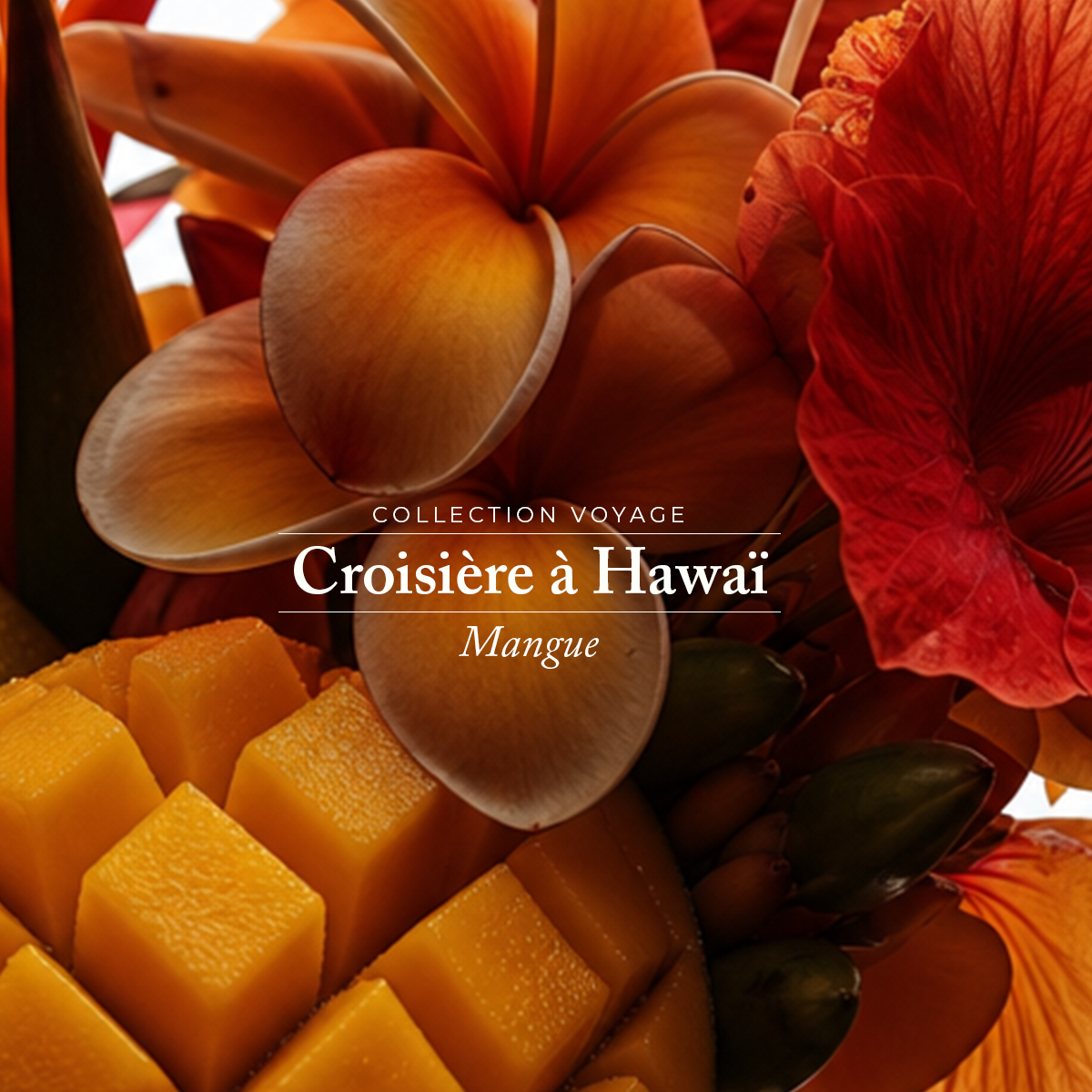 Brume de Parfum Mangue 50 ml